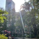 영보가든맨션경로당 | HK🇭🇰 MACAU🇲🇴[2] | 구룡공원, 헤리티지 1881, 심포니오브라이트