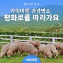 불빛목장 이미지