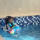 시그널 키즈풀빌라 펜션 이미지