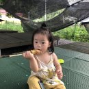마장2리 마을회관 이미지