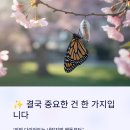토탈뷰티샵 이미지