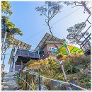 해솔에너지 | 힐링이 절실했던 주말, 해솔향펜션으로 떠난 급여행