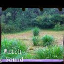 숲속공원 이미지