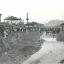 유민약국 이미지