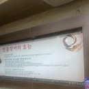일출봉민물장어