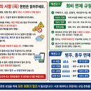 예술공원로52번길 Daum카페