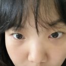 강릉의료원 건너편 | [강릉 미모든 뷰티] 속눈썹 받고 온 후기 §