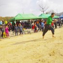 둔내초등학교 이미지