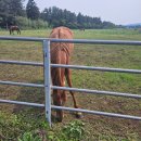 거림목장 이미지