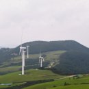 잦나무목장 이미지