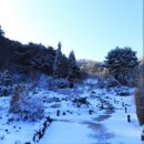 애니멀랜드 이미지