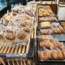 삼호바게트 이미지