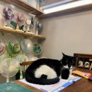 오니기리야 이미지