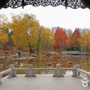 호텔벨라스위트 수원인계점 이미지