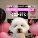 댕파티셰 이미지