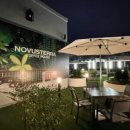 노부스테라 이미지