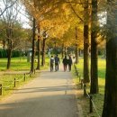 어울림공원_사리역주변 이미지