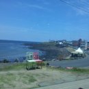 제주부자돈 이미지