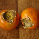 단감약국 이미지