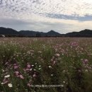 경천주유소 이미지