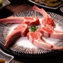 마루모터스 이미지