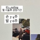 네일인가영 이미지