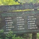 수목 비교 관찰원 이미지