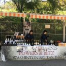 구름위의 산책 이미지