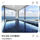 송정스카이풀 | [일상vlog]🌊부산 송정 오션뷰 숙소 추천, 10만원대 가성비 스카이 풀빌라 1박 후기