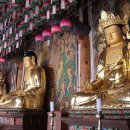 칠곡 송림사 목조석가여래삼존좌상 이미지