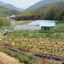 동필농장 이미지