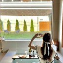 스테이로이 이미지