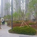 시립구성어린이집(모아랑) 이미지