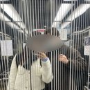 겨울에도 온수풀을 즐길 수 있는 인천 호캉스 왕추천 &lt;네스트호텔&gt; (+현미네 조개구이)