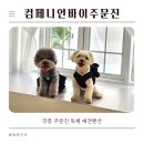 컴페니언바이주문진 이미지