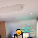 교통섬 | 홍콩 에코트리호텔_홍콩셩완 가성비 좋은 호텔 홍콩섬 교통편 좋은 에코트리호텔 내돈내산후기