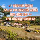 동키투어 이미지