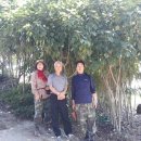 황칠농장 이미지