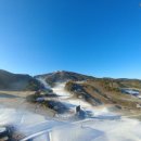 웰리힐리 스키장 이미지