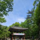조계산도립공원 송광사 주차장 화장실 | 4월 등산 추천, 겹벚꽃 조계산(선암사-송광사)