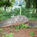 대곡동지석묘군 이미지