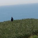 가천민박 이미지