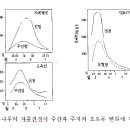 사과나무재배-효과적인 하계전정 방법 이미지