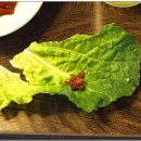 경마장가는길 이미지