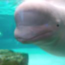 롯데월드아쿠아리움 이미지