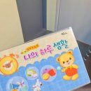 멍멍아학교가자 (대명점) 이미지