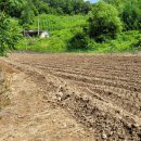 청안면사무소 이미지