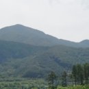 덕치농장 이미지
