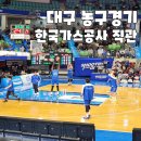 대구 농구 경기 대구체육관 한국가스공사 페가수스 vs 고양 소노