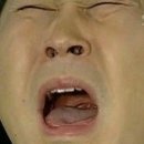 녹차나라 Daum카페